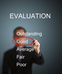 CEO Evaluation